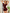 Xivir Midnight Night Suit Set